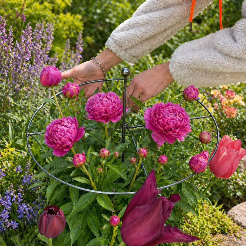 💖🎁2026 Mother's Day Gifts 50% Off🎁Plant Support