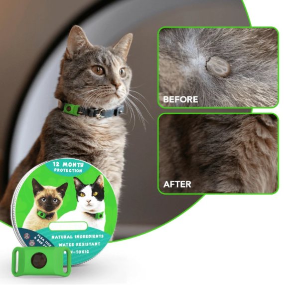 🐕Last Day 60% OFF-✨12 Months Flea and Tick Free