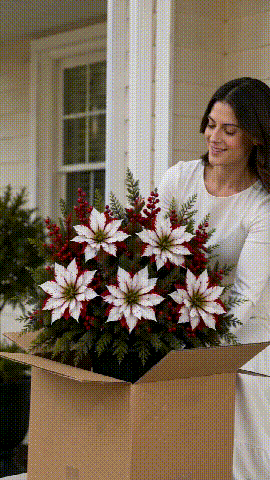 ❄️Last Day 50% OFF🔥Christmas Poinsettia Planter Inserts