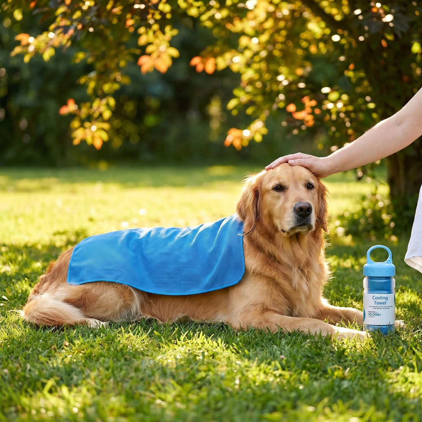 ⏰Summer Essentials🔥Absorbent Quick-Drying Gym Cooling Towels🧊