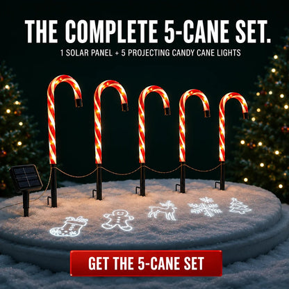 Solar Candy Cane Projector Pathway Lights – Light the Way to Christmas 🎄