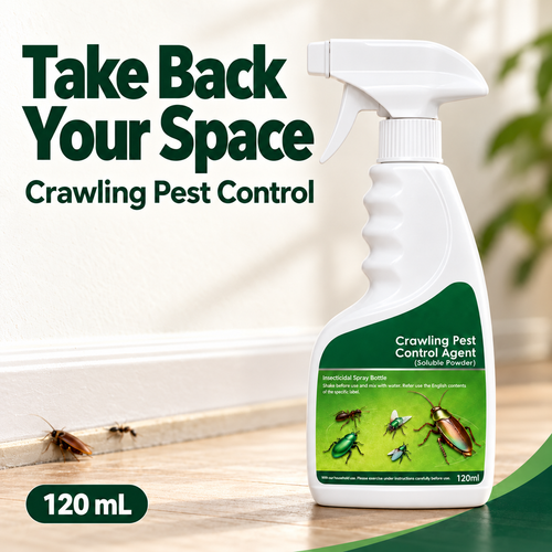 🪳Crawling Pest Control – Take Back Your Space