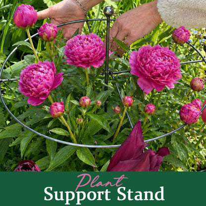 💖🎁2026 Mother's Day Gifts 50% Off🎁Plant Support