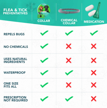 🐕Last Day 60% OFF-✨12 Months Flea and Tick Free