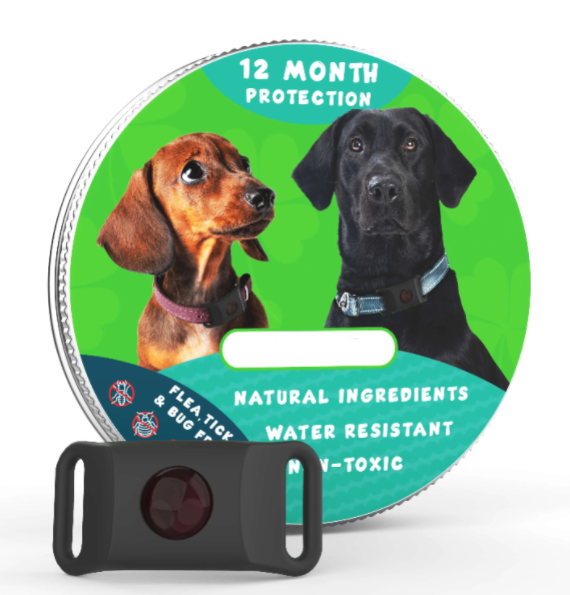 🐕Last Day 60% OFF-✨12 Months Flea and Tick Free