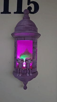 🔥HOT SALE🔥Puerto Rican Garita Wall Coqui Lamp