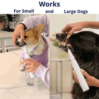 Silent Ultrasonic Plaque & Tartar Remover for dogs