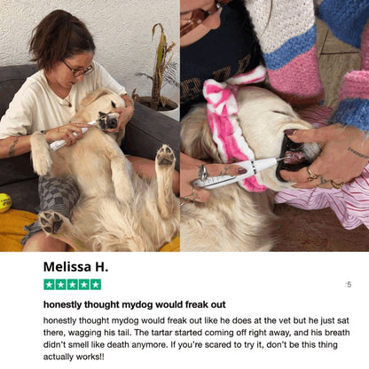 Silent Ultrasonic Plaque & Tartar Remover for dogs