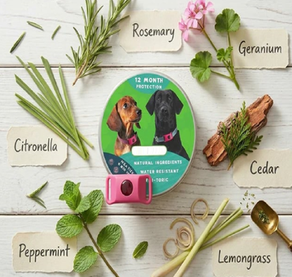 🐕Last Day 60% OFF-✨12 Months Flea and Tick Free