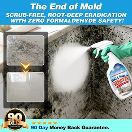 🏆Last Day Sale -50% OFF⚡Fast Acting Anti-Mold Wall Cleaner Spray🔥