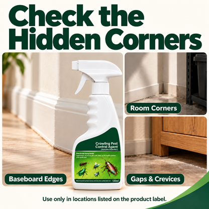 🪳Crawling Pest Control – Take Back Your Space