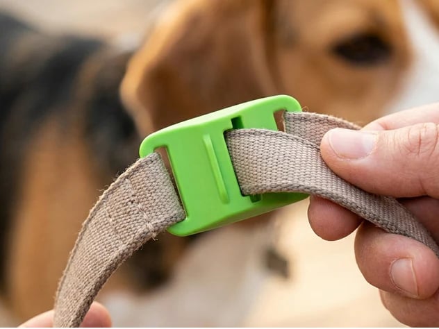 🐕Last Day 60% OFF-✨12 Months Flea and Tick Free