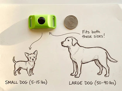 🐕Last Day 60% OFF-✨12 Months Flea and Tick Free