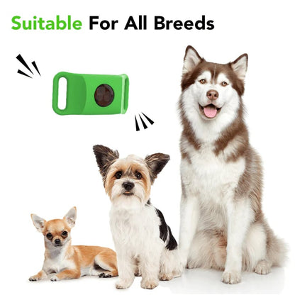 🐕Last Day 60% OFF-✨12 Months Flea and Tick Free