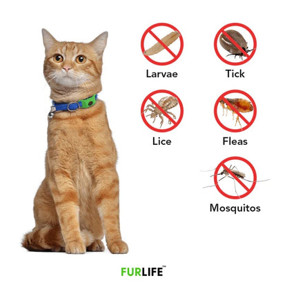 🐕Last Day 60% OFF-✨12 Months Flea and Tick Free