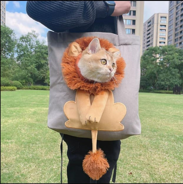 💲One day sale, 49% off everything!🦁Pet Canvas Shoulder Carrying Bag