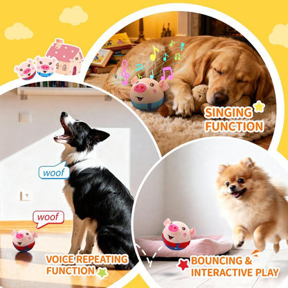 OinkEcho – Interactive Plush Ball