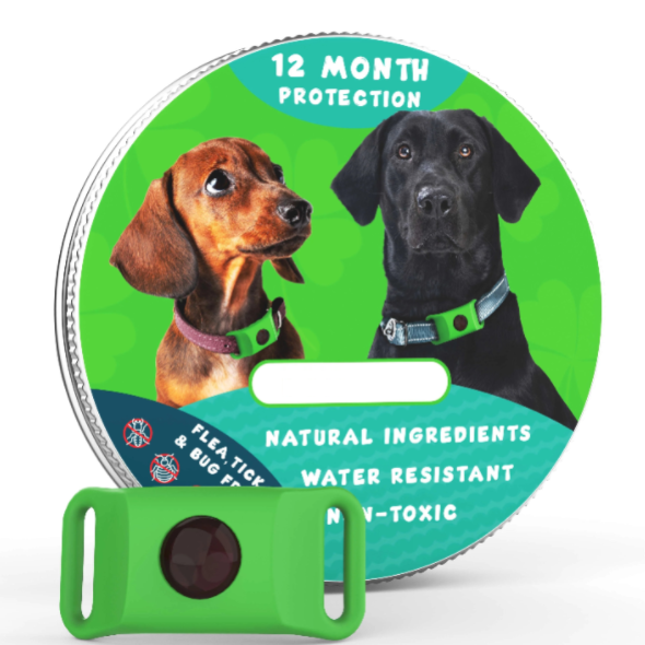 🐕Last Day 60% OFF-✨12 Months Flea and Tick Free
