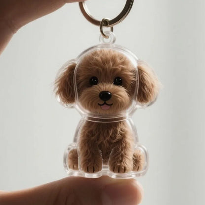 🐾Pet Hair Memorial Capsule Keychain
