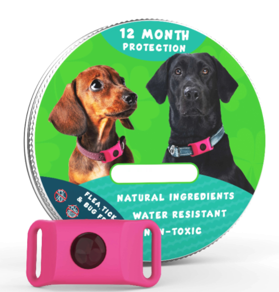 🐕Last Day 60% OFF-✨12 Months Flea and Tick Free