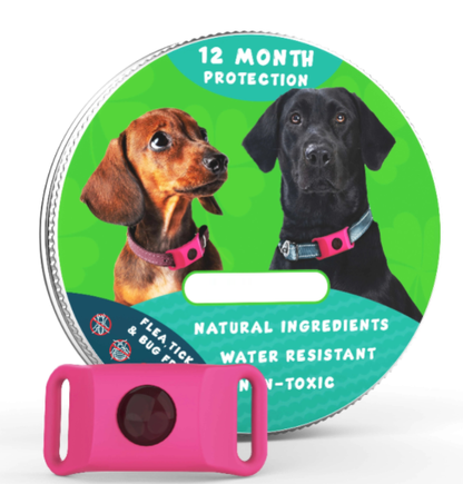 🐕Last Day 60% OFF-✨12 Months Flea and Tick Free