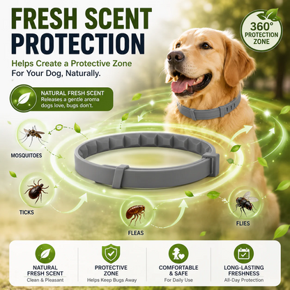🐶50% OFF TODAY🛡️Adjustable Flea & Tick Collar for Dogs & Cats