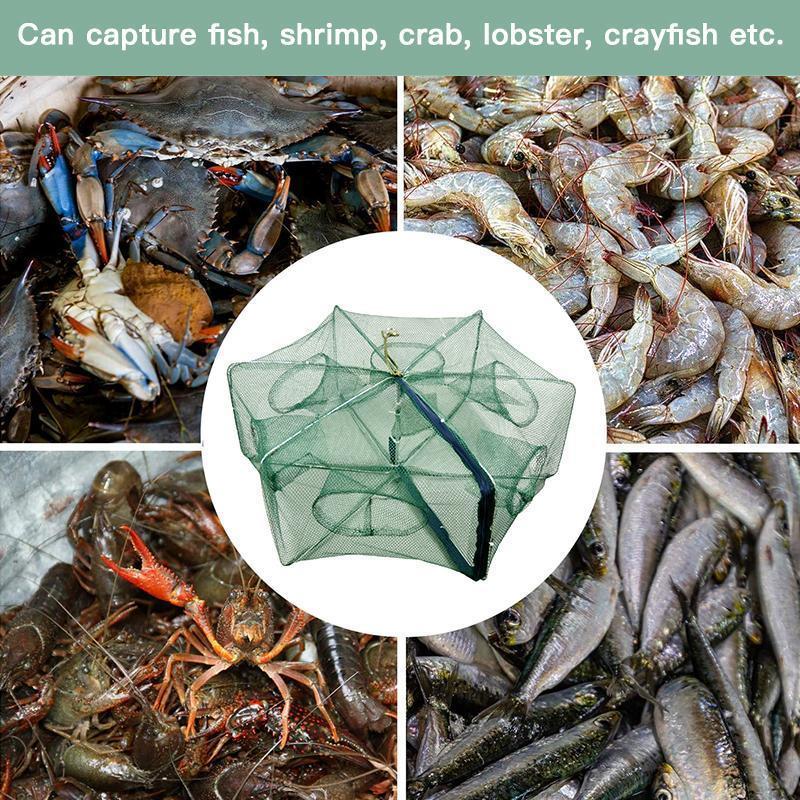 🥳2026 HOT SALE🥳💞50K+ SOLD!🦀🦐 50% OFF! Automatic Foldable Fish Trap – Thickened mesh, rust‑proof steel. Zipper opening for easy harvest. Doubles your catch effortlessly. 🏆🌊