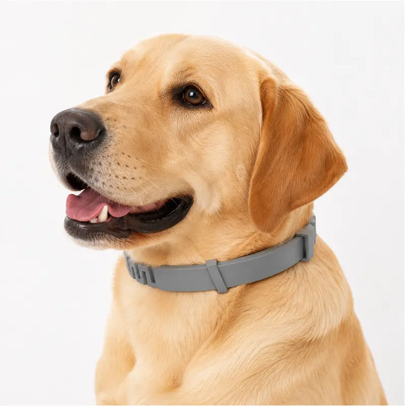 🐶50% OFF TODAY🛡️Adjustable Flea & Tick Collar for Dogs & Cats